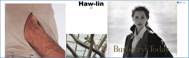 haw-lin haw-lin
